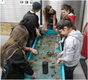 Students at touch tanks